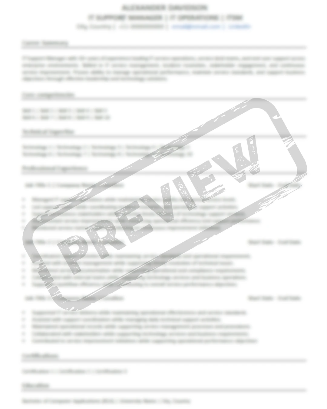 IT Professional Template preview